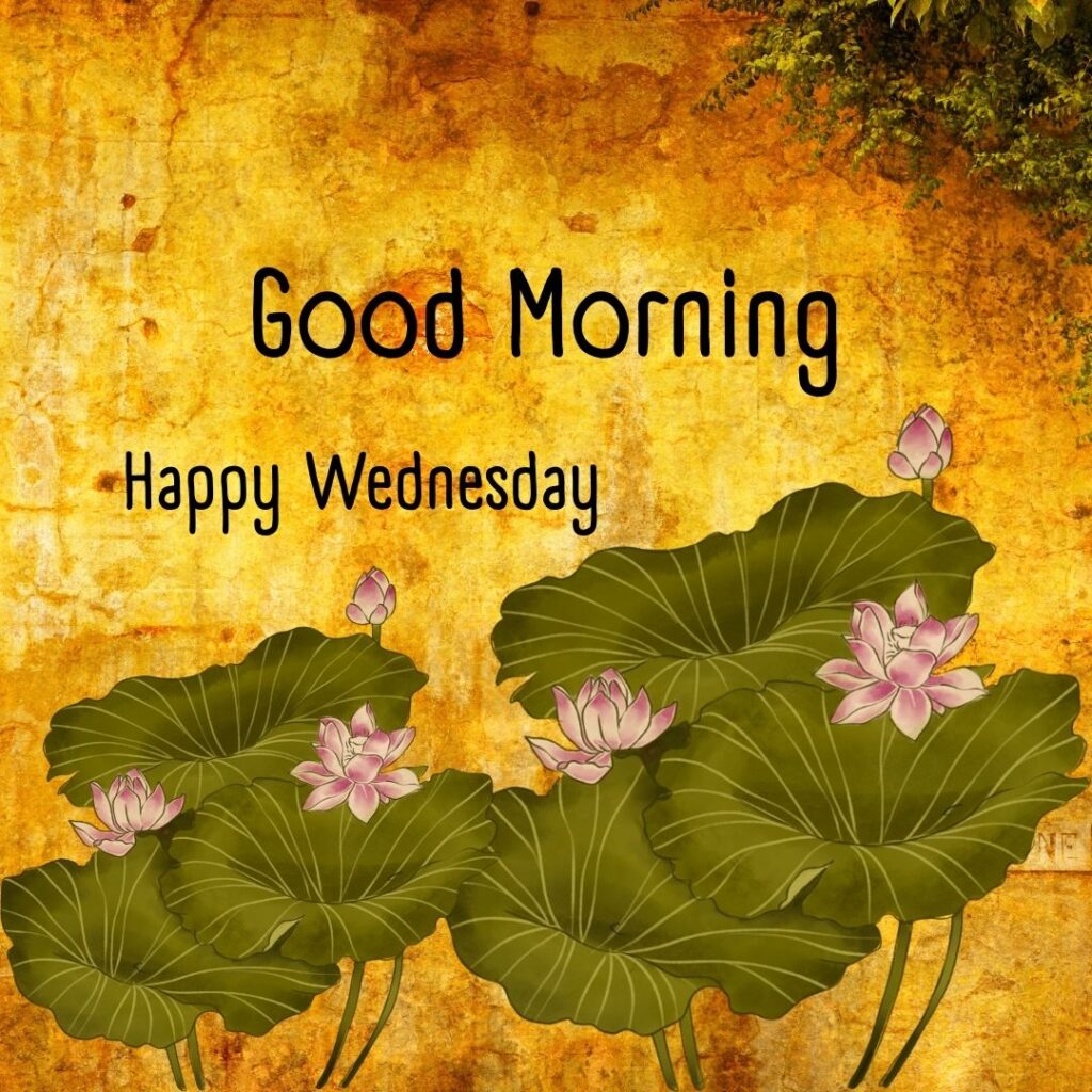 200+ Good Morning Happy Wednesday Images