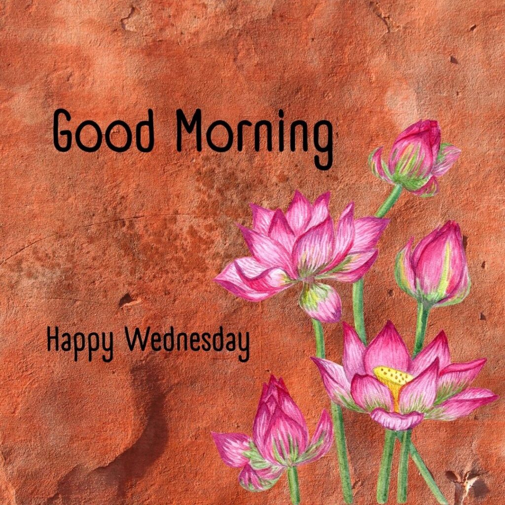 200+ Good Morning Happy Wednesday Images