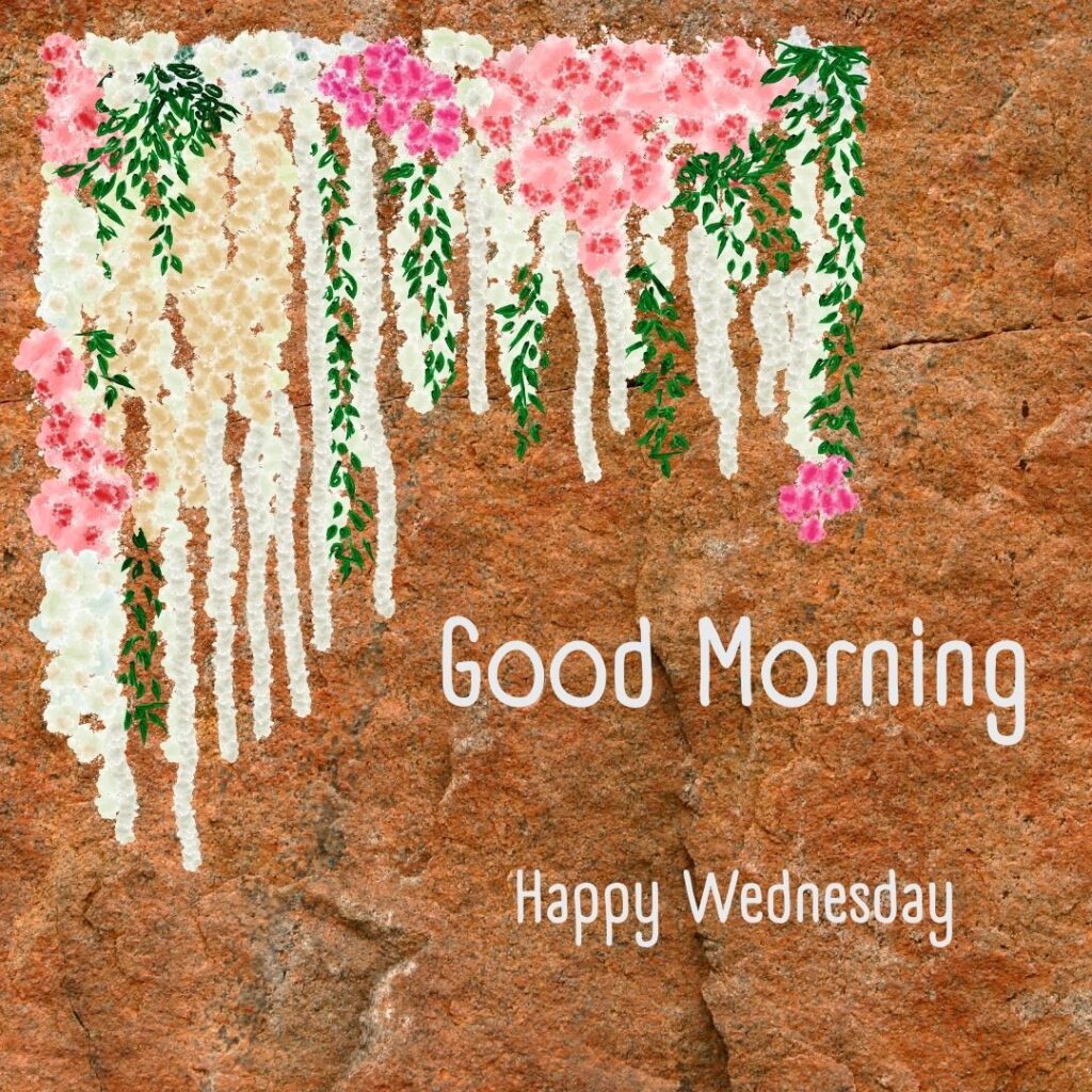 200+ Good Morning Happy Wednesday Images