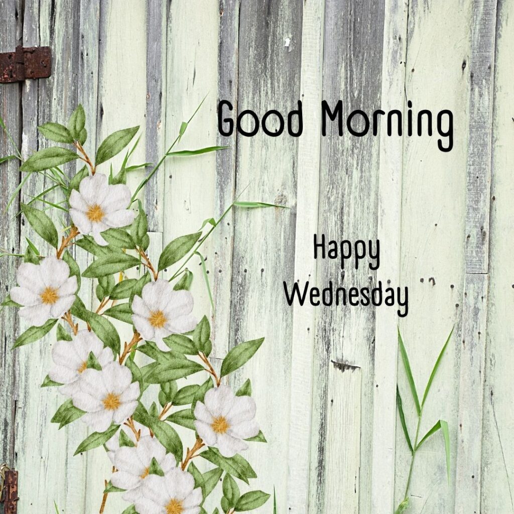 200+ Good Morning Happy Wednesday Images