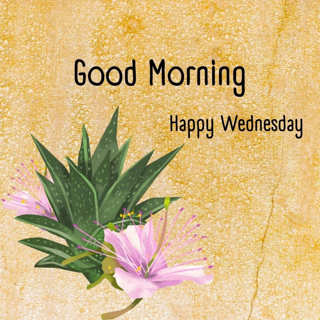 200+ Good Morning Happy Wednesday Images