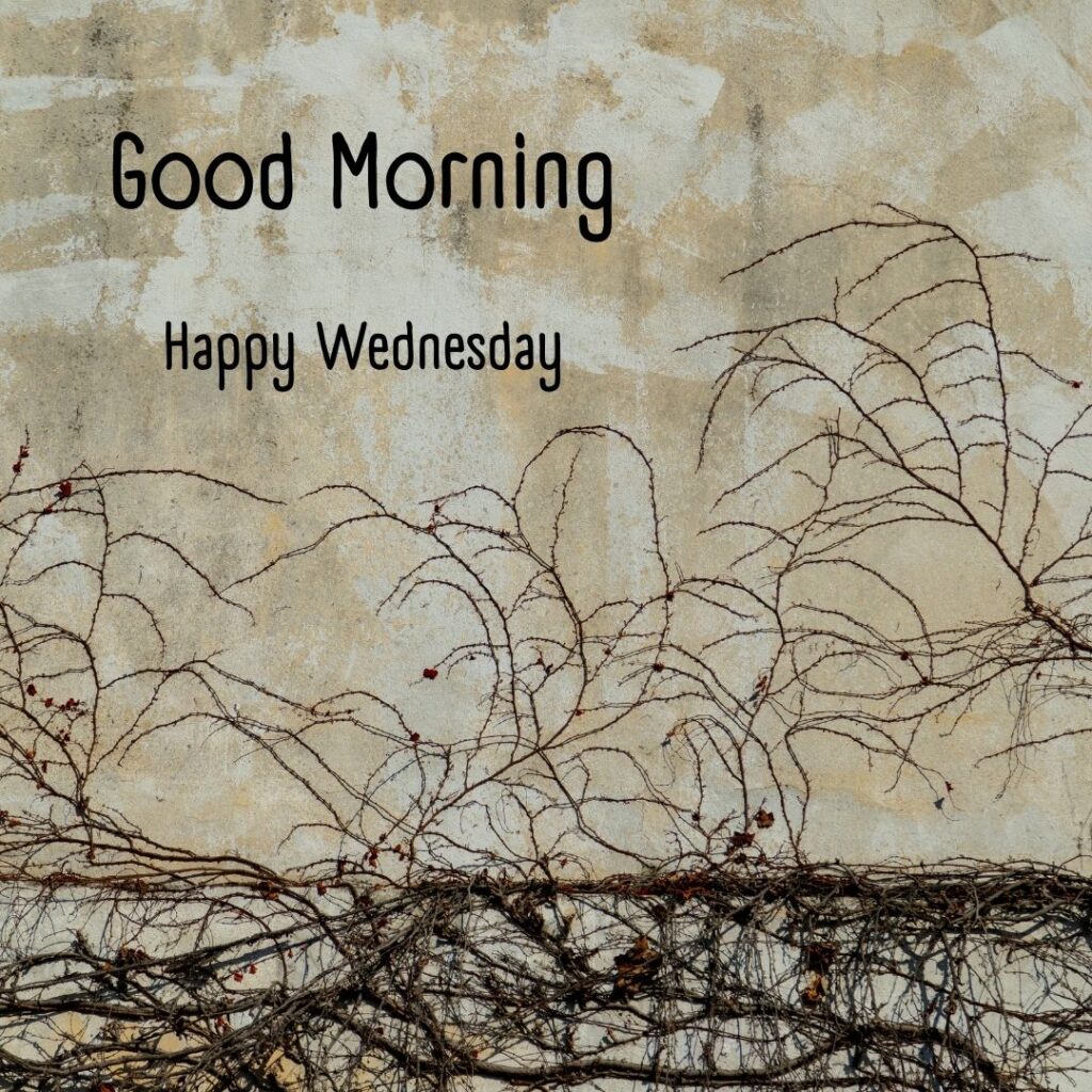 200+ Good Morning Happy Wednesday Images