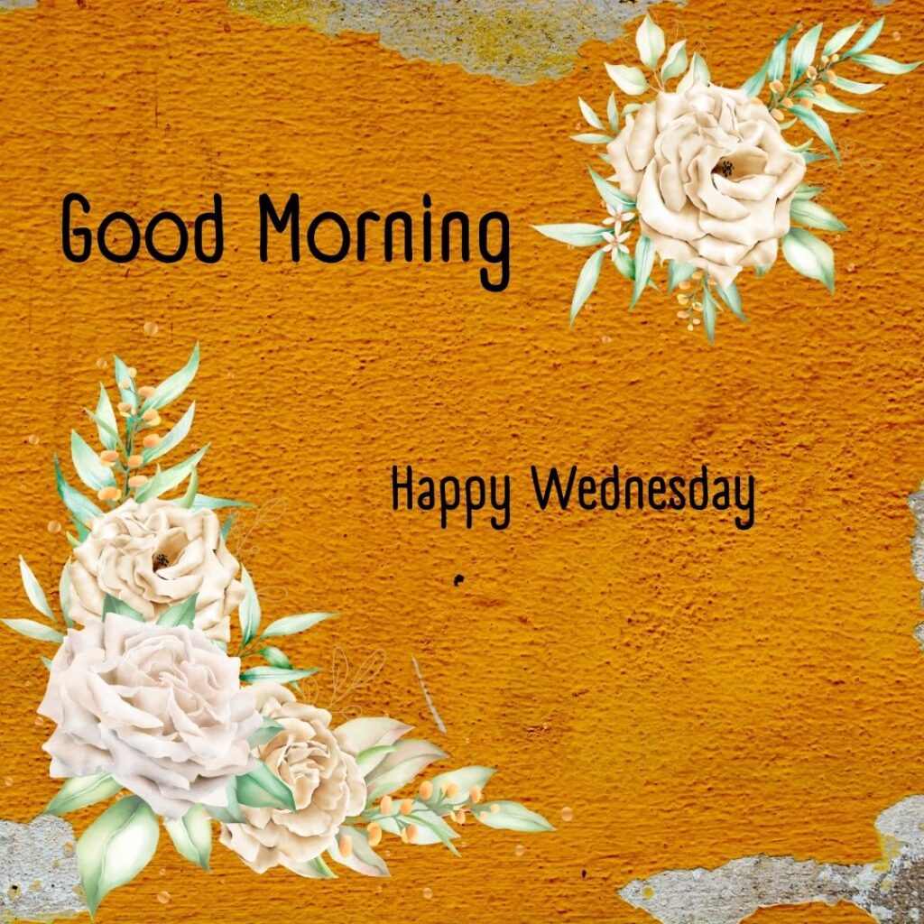 200+ Good Morning Happy Wednesday Images