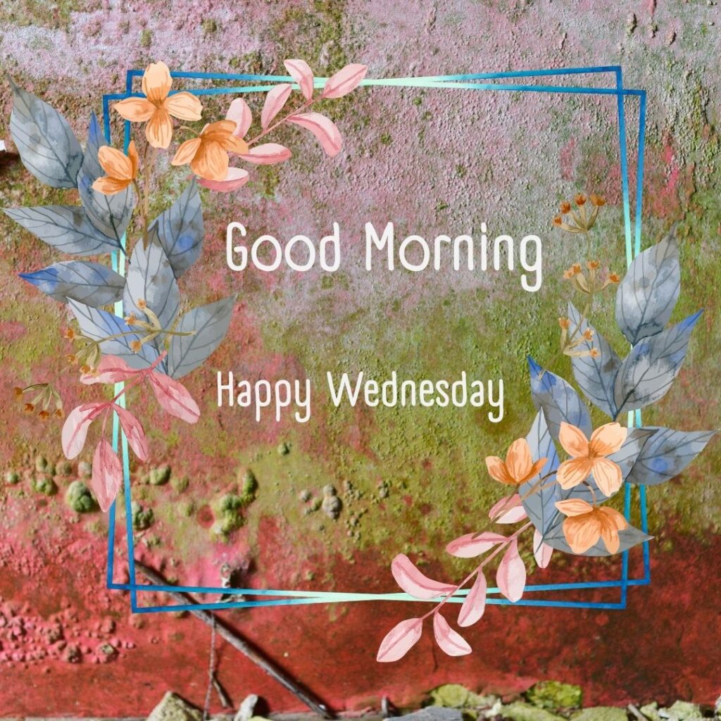 200+ Good Morning Happy Wednesday Images