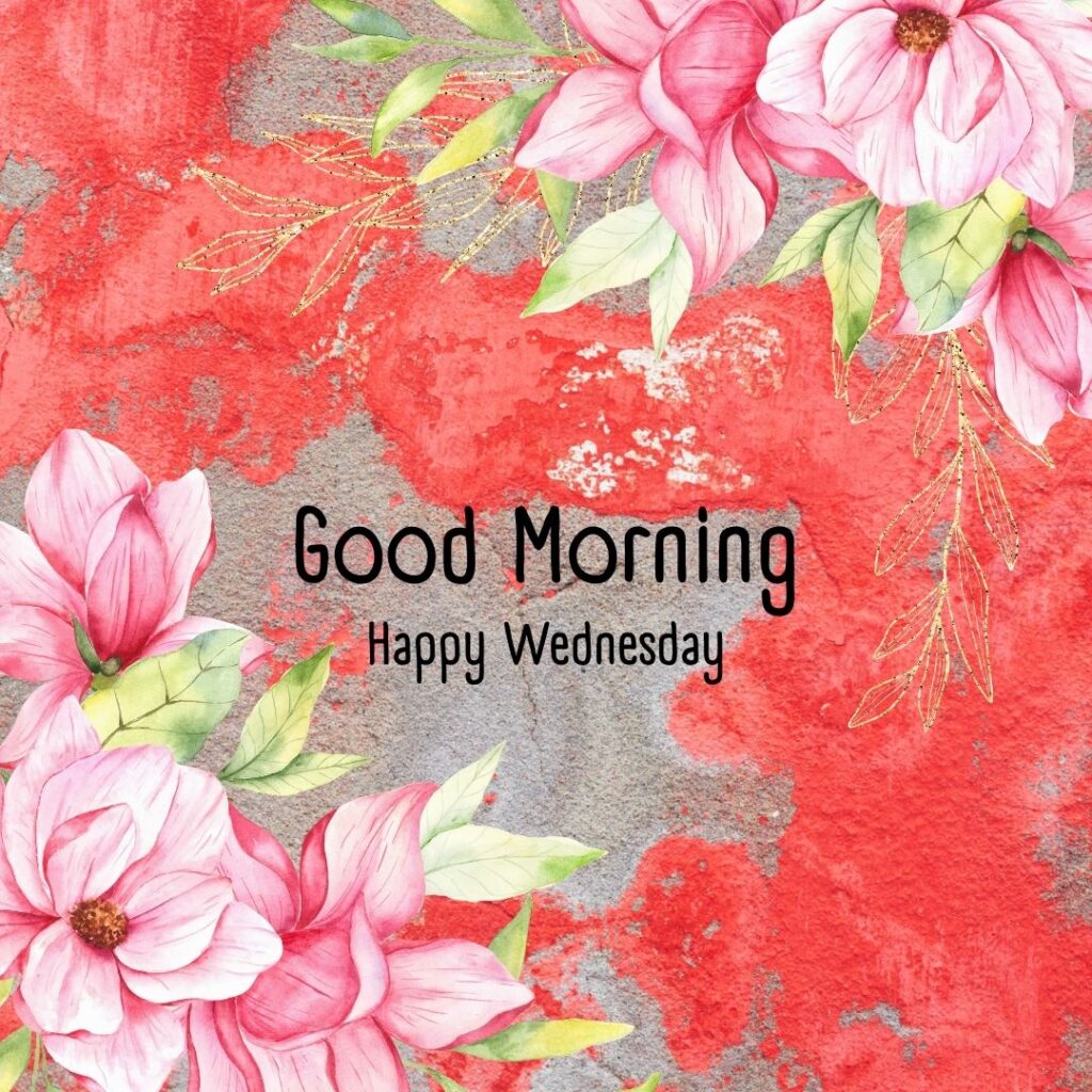 200+ Good Morning Happy Wednesday Images