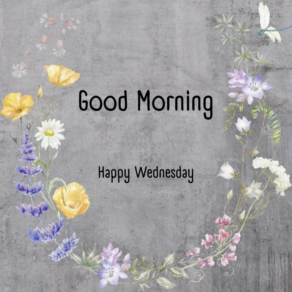 200+ Good Morning Happy Wednesday Images