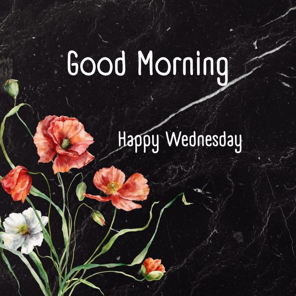 200+ Good Morning Happy Wednesday Images