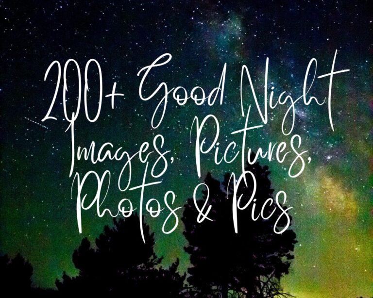 200+ Good Night Images, Pictures, Photos & Ai Pics (2024)