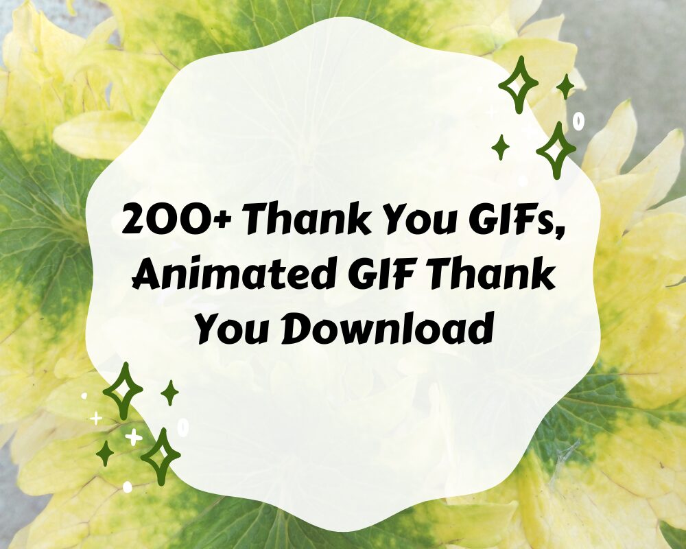 200+ Thank You GIFs, Animated GIF Thank You Download