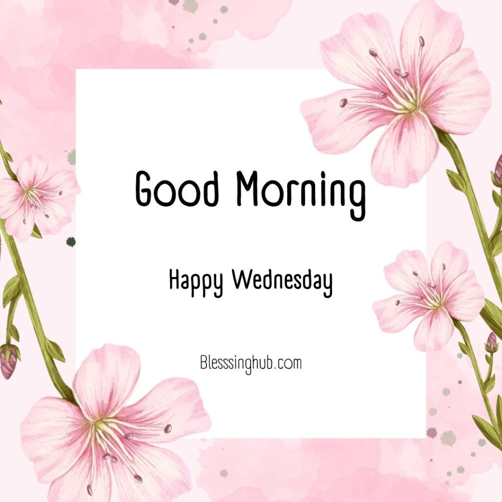 200+ Good Morning Happy Wednesday Images