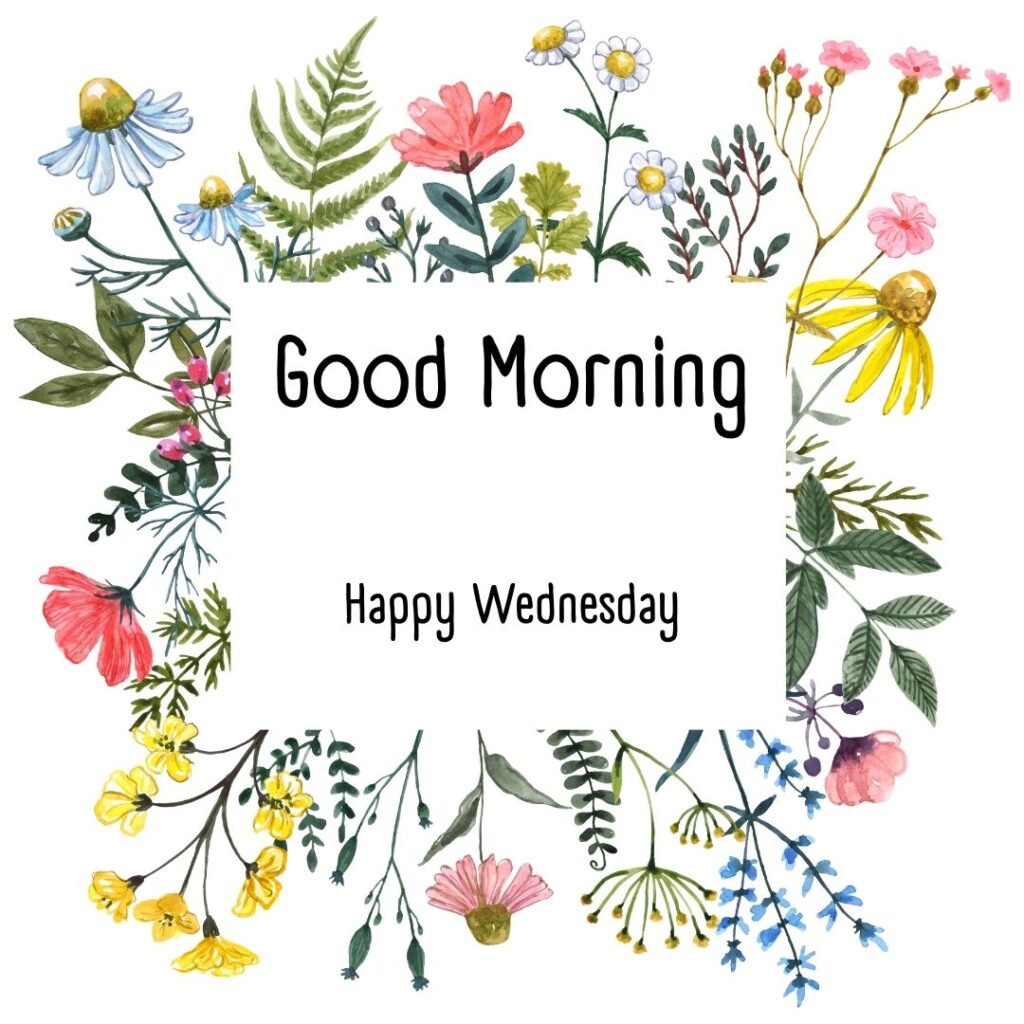 200+ Good Morning Happy Wednesday Images