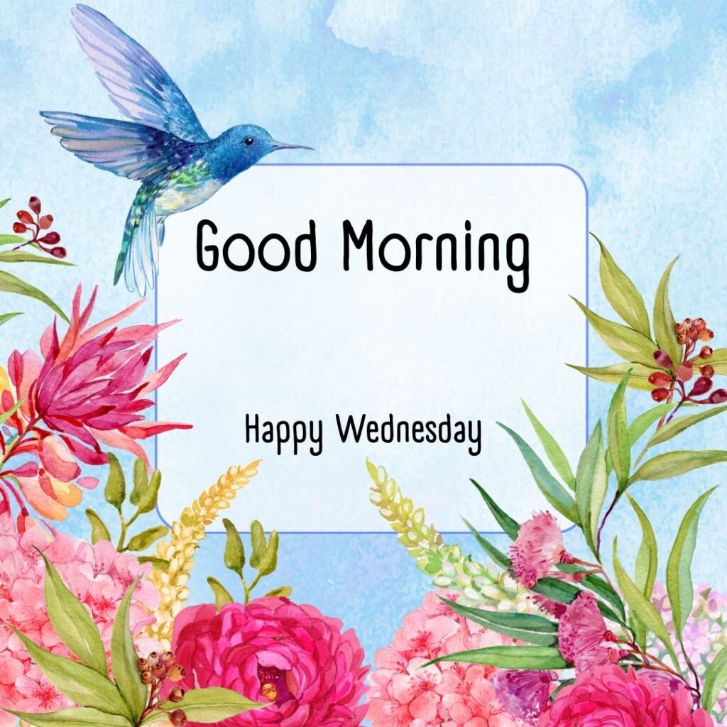 200+ Good Morning Happy Wednesday Images