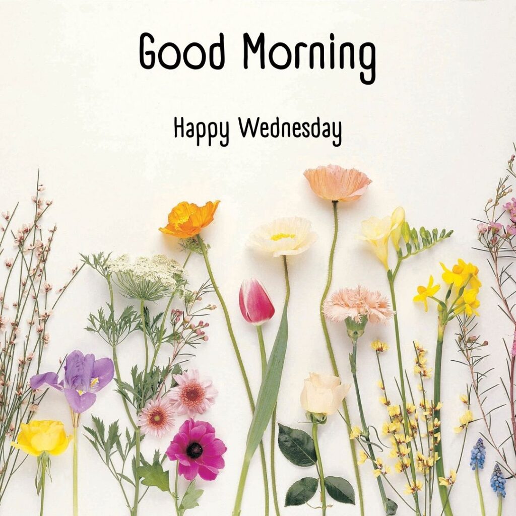 200+ Good Morning Happy Wednesday Images