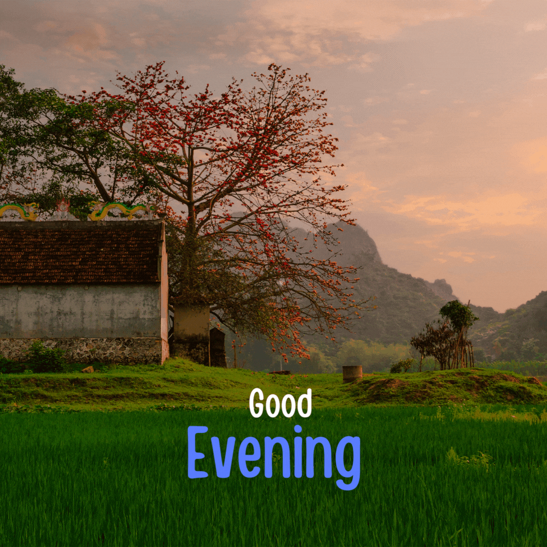 200+ Good Evening Animated GIFs | Free Download