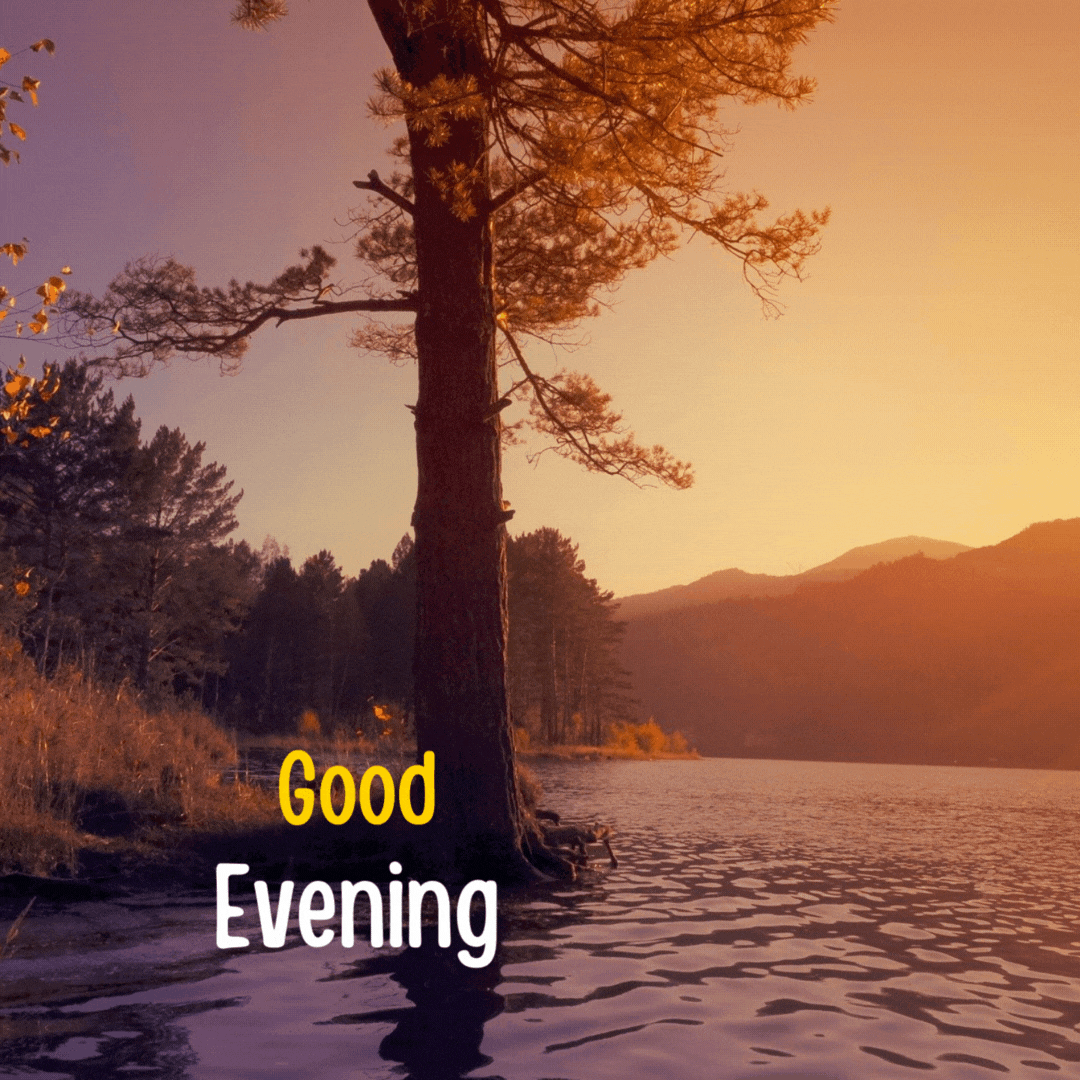 200+ Good Evening Animated GIFs | Free Download