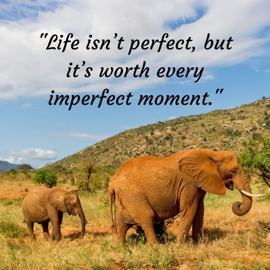 The Imperfect Path to Happiness: 200+Life is Not Perfect Quotes!