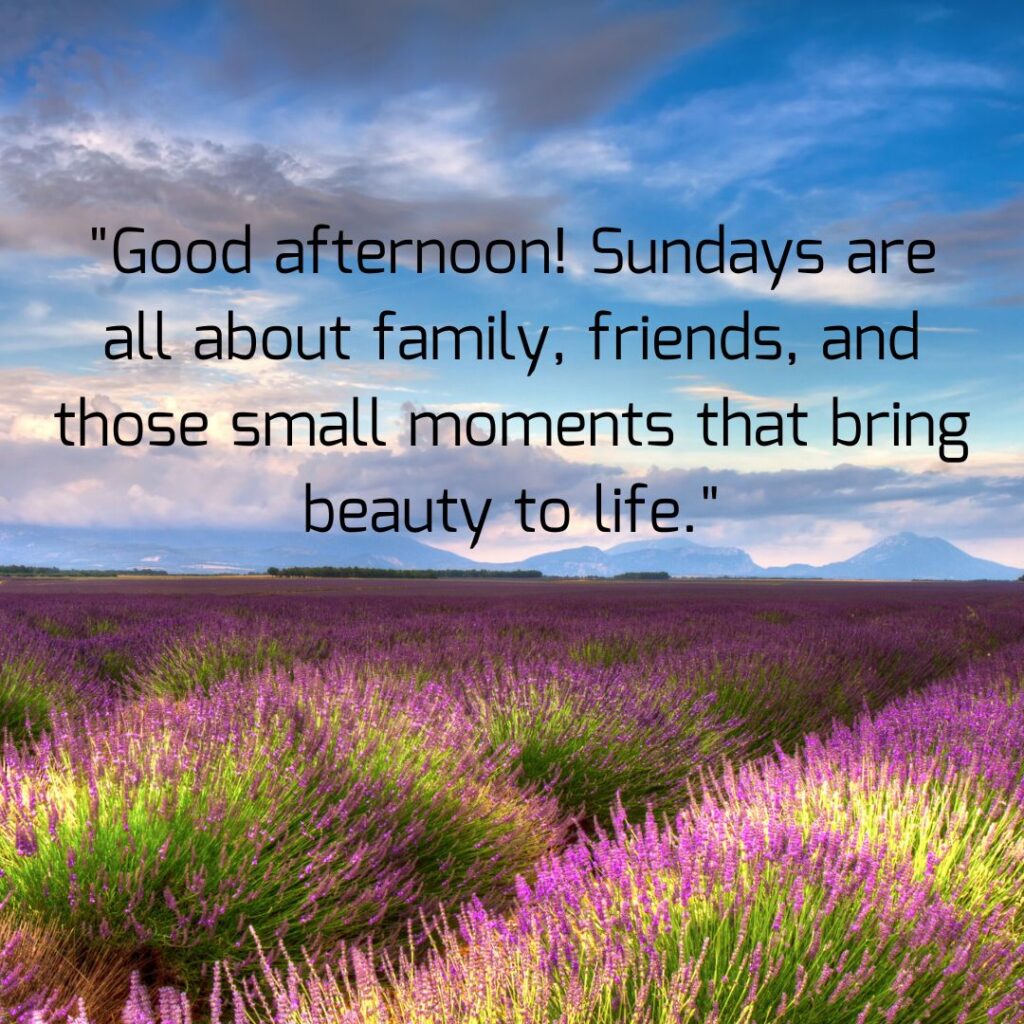 Good Afternoon Sunday Quotes, Wishes, Messages