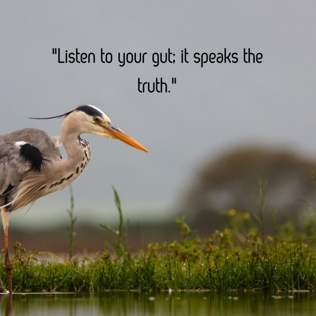 Trust Your Gut Quotes!