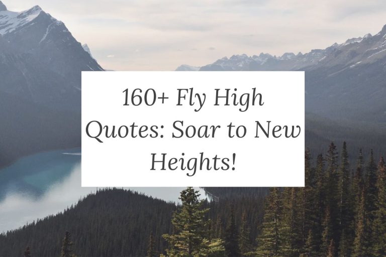 160+ Fly High Quotes: Soar to New Heights!