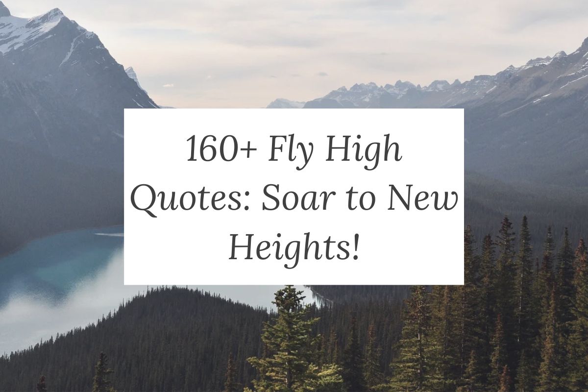 160+ Fly High Quotes: Soar to New Heights!