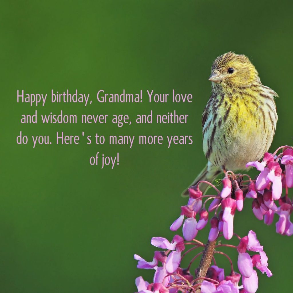 Ageless Love — 120+ Happy Birthday Grandma Wishes!