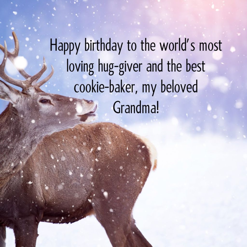 Ageless Love — 120+ Happy Birthday Grandma Wishes!