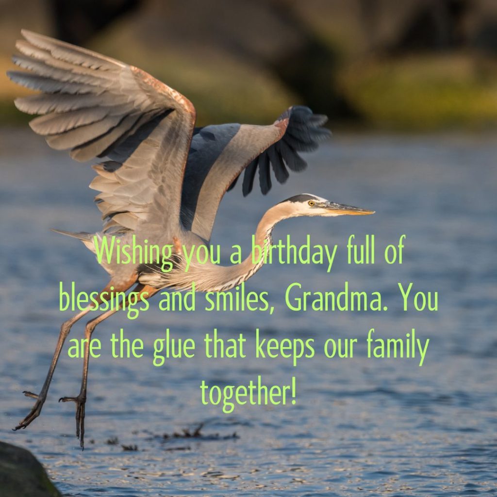 Ageless Love — 120+ Happy Birthday Grandma Wishes!