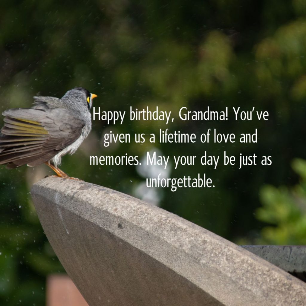 Ageless Love — 120+ Happy Birthday Grandma Wishes!