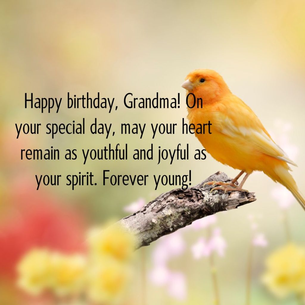 Ageless Love — 120+ Happy Birthday Grandma Wishes!