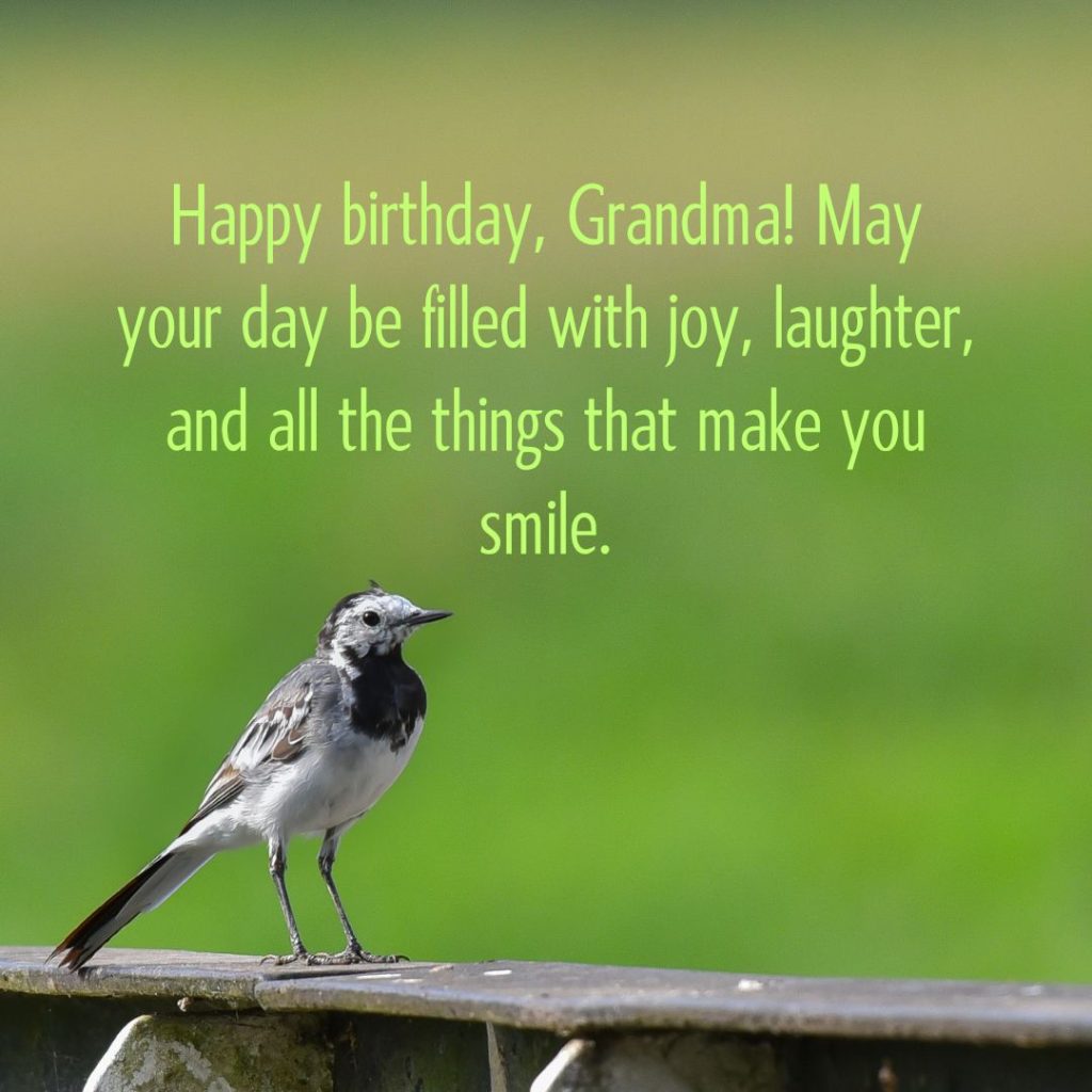 Ageless Love — 120+ Happy Birthday Grandma Wishes!