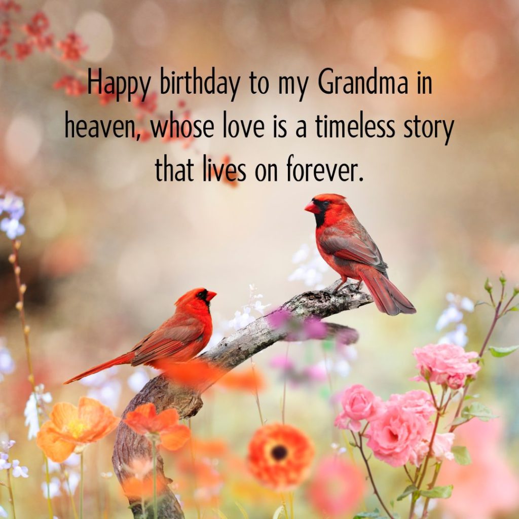 Ageless Love — 120+ Happy Birthday Grandma Wishes!