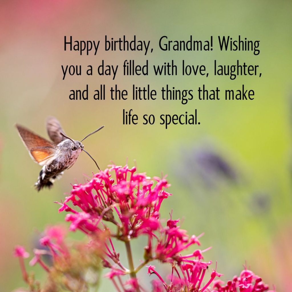 Ageless Love — 120+ Happy Birthday Grandma Wishes!