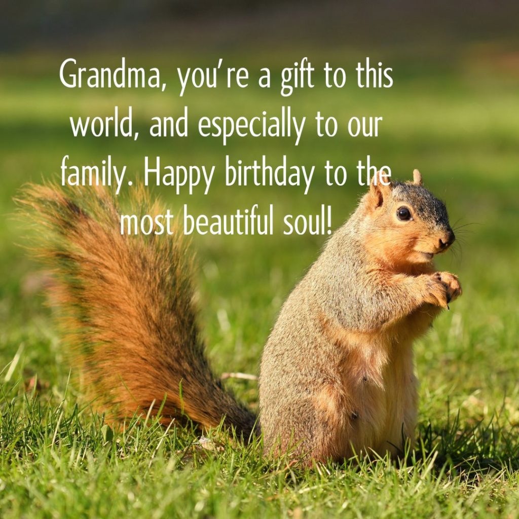 Ageless Love — 120+ Happy Birthday Grandma Wishes!