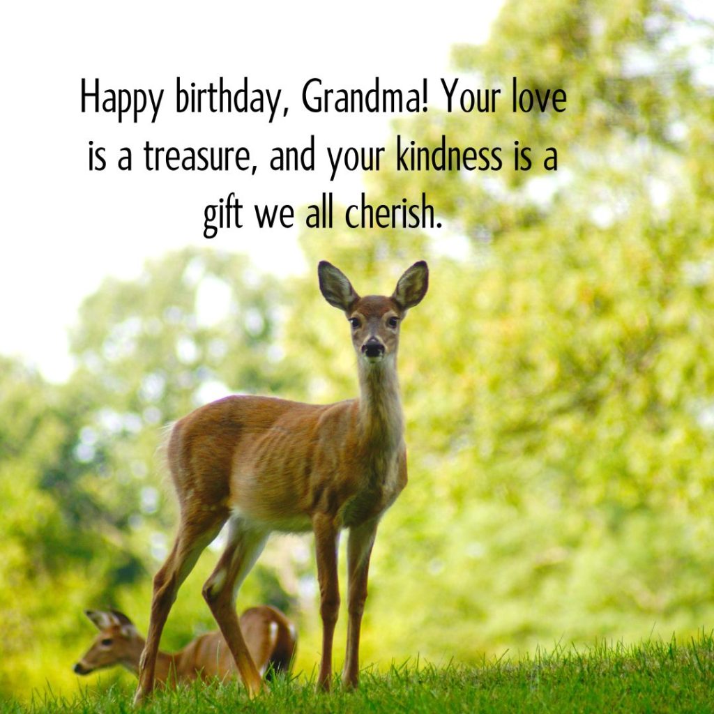 Ageless Love — 120+ Happy Birthday Grandma Wishes!