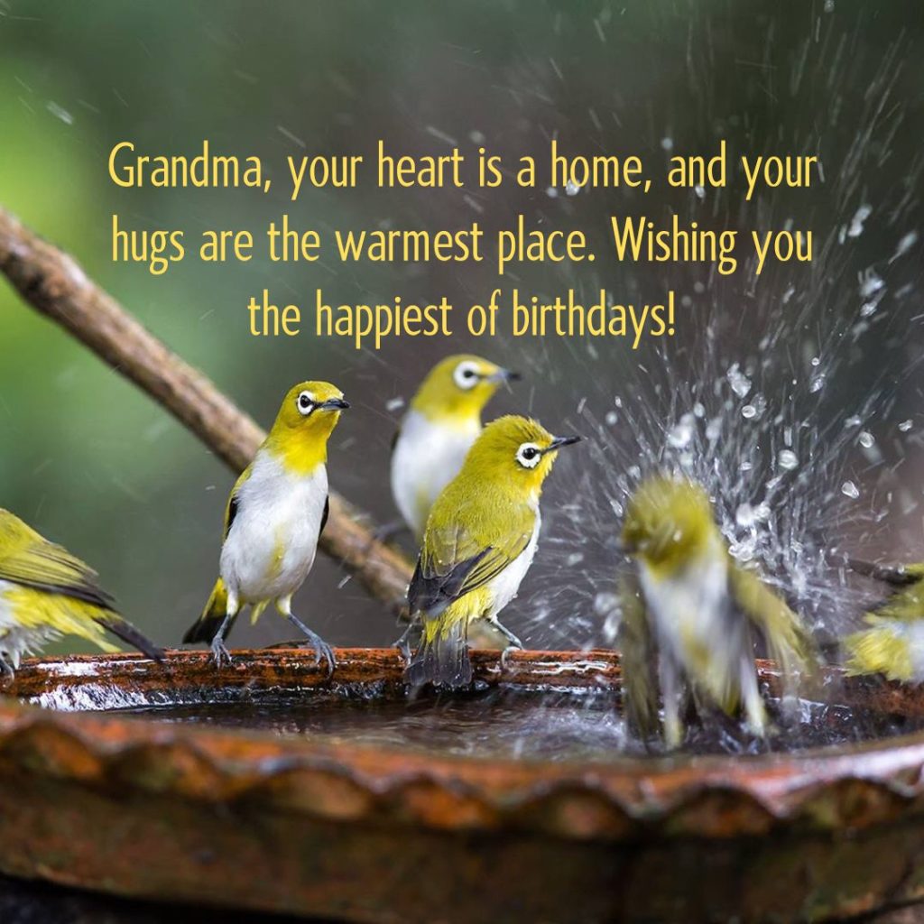 Ageless Love — 120+ Happy Birthday Grandma Wishes!