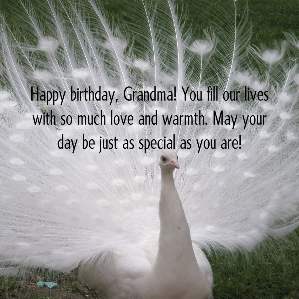 Ageless Love — 120+ Happy Birthday Grandma Wishes!