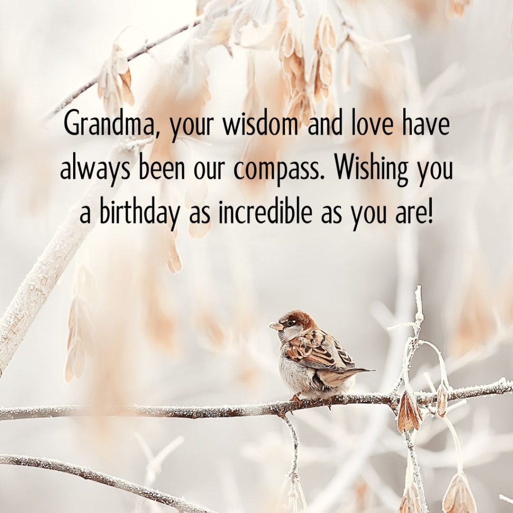 Ageless Love — 120+ Happy Birthday Grandma Wishes!