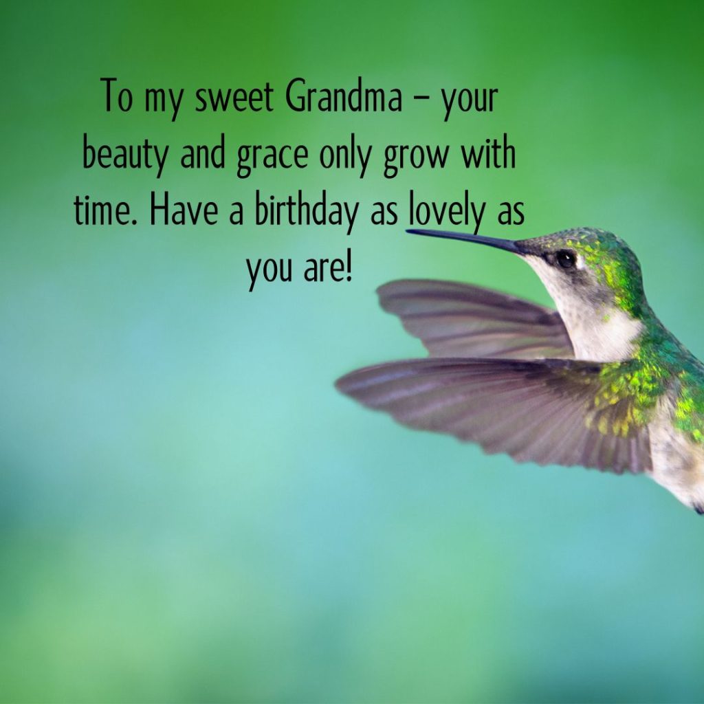 Ageless Love — 120+ Happy Birthday Grandma Wishes!