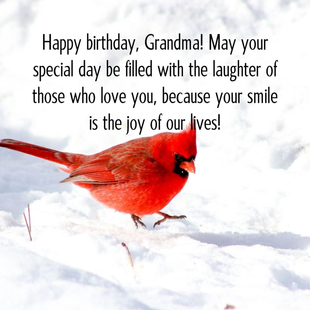 Ageless Love — 120+ Happy Birthday Grandma Wishes!