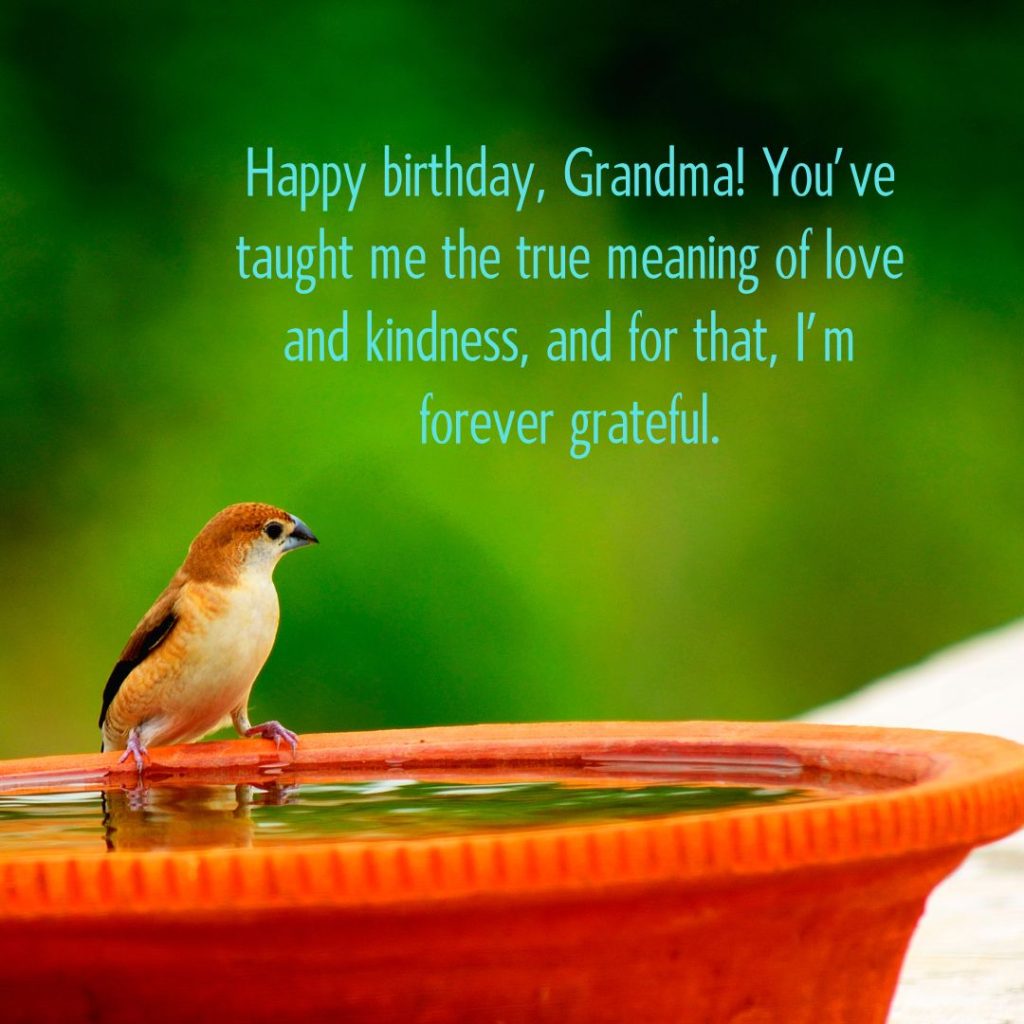 Ageless Love — 120+ Happy Birthday Grandma Wishes!